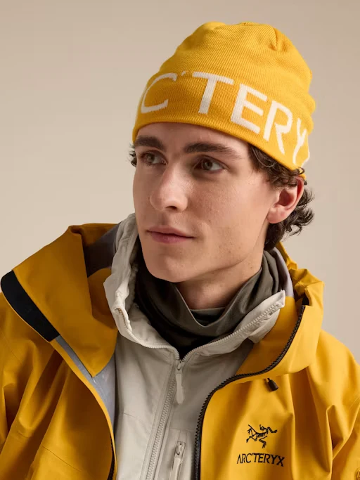 Word Head Toque larch/arctic silk