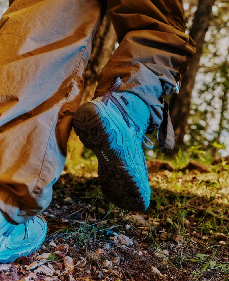 Targhee IV Wasserdichte Wanderstiefel für Herren | Bison/Black
