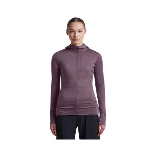 Icebreaker 200 RealFleece™ Descender Hoodie mit Reißverschluss Damen