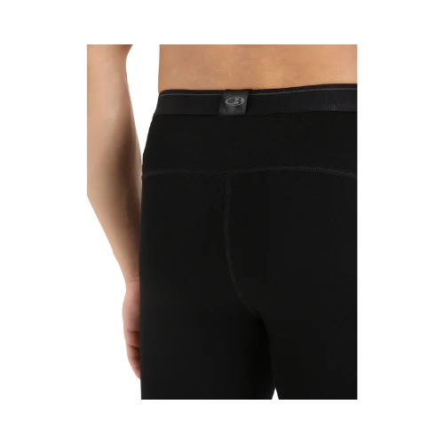 Icebreaker 260 Oasis Thermoleggings Herren
