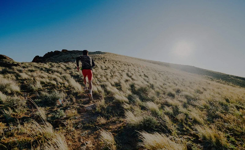 Seek Trailrunning-Schuhe für Herren | Chipmunk/Symphonic Sunset