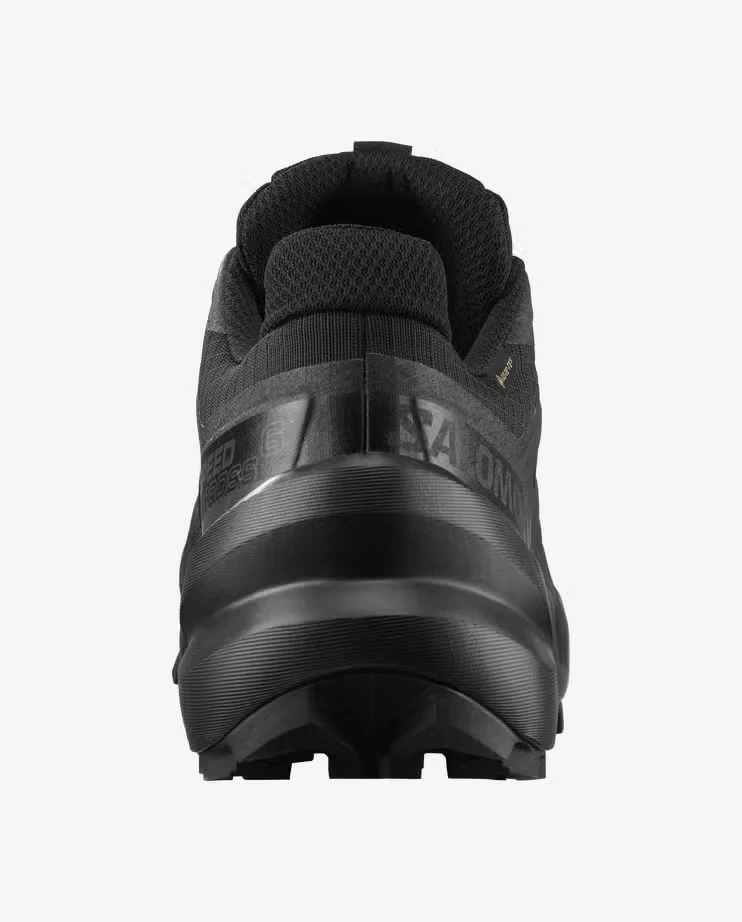 Speedcross 6 GTX W black/black