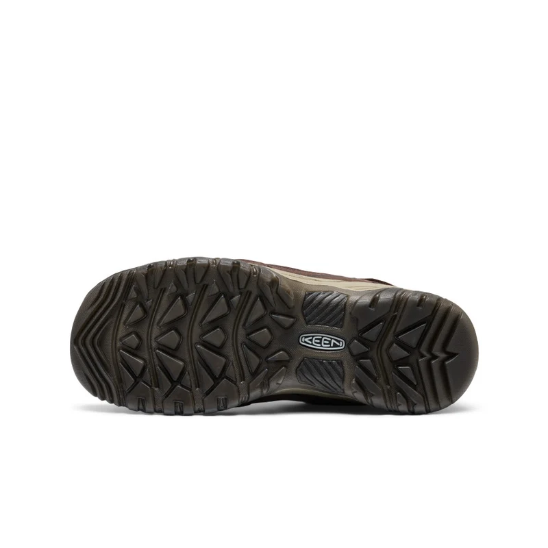 Targhee IV Wasserdichte Wanderschuhe für Herren | Java/Bison
