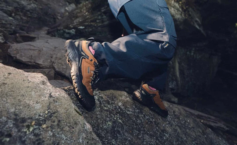 Targhee IV Wasserdichte Wanderschuhe für Herren | Bison/Black