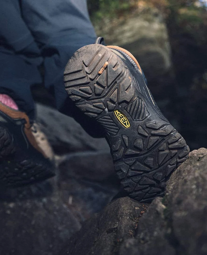 Targhee IV Wasserdichte Wanderschuhe für Herren | Bison/Black