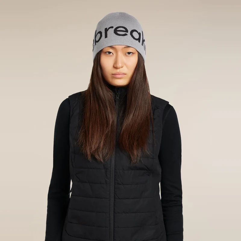 Icebreaker Beanie Alloy/Black