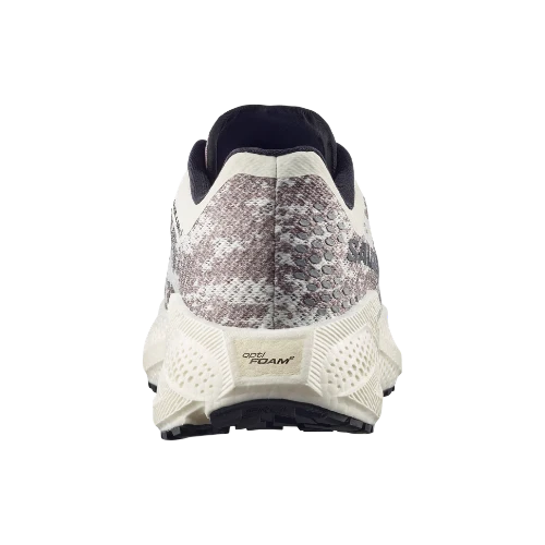 Salomon AERO GLIDE 4 GRVL Herren