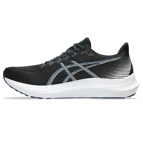 Asics Gel Pursue 10 Herren