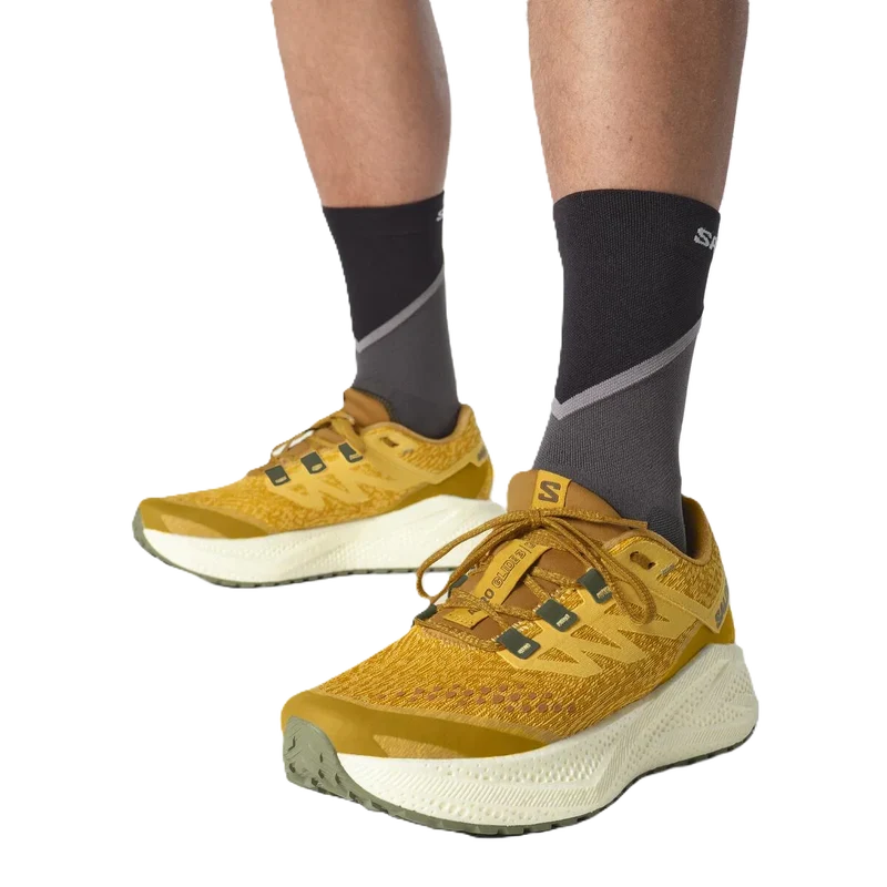 Salomon Aero Glide 3 GRVL Herren