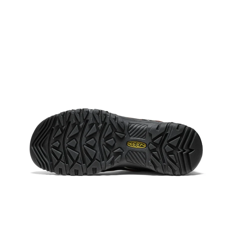 Targhee IV Wasserdichte Wanderschuhe für Herren | Bison/Black