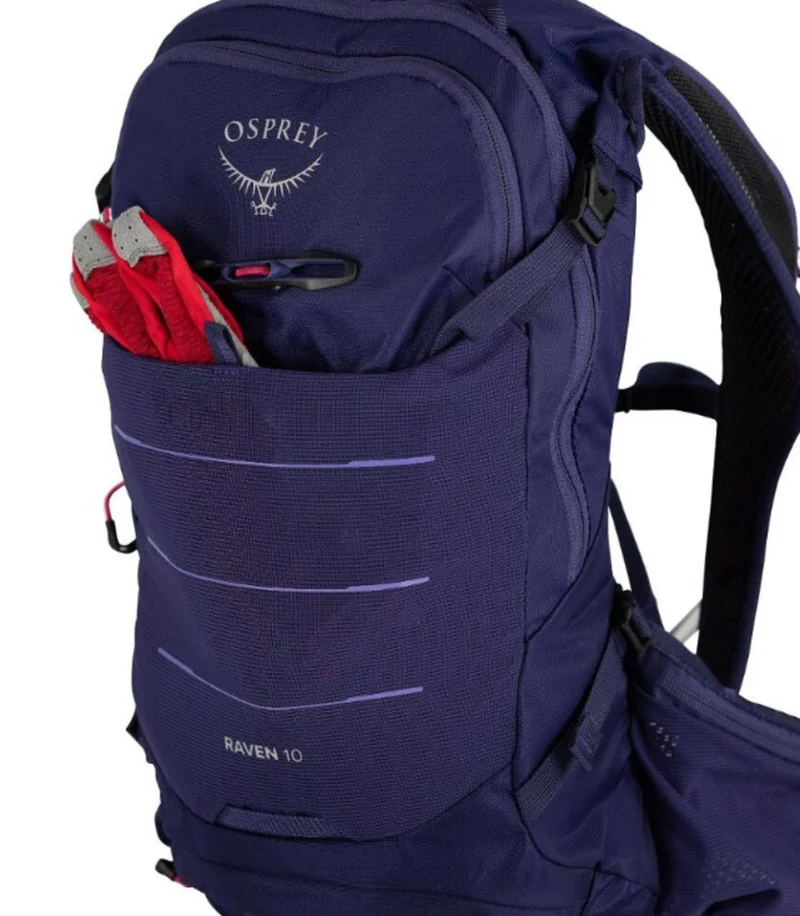 RAVEN 10
