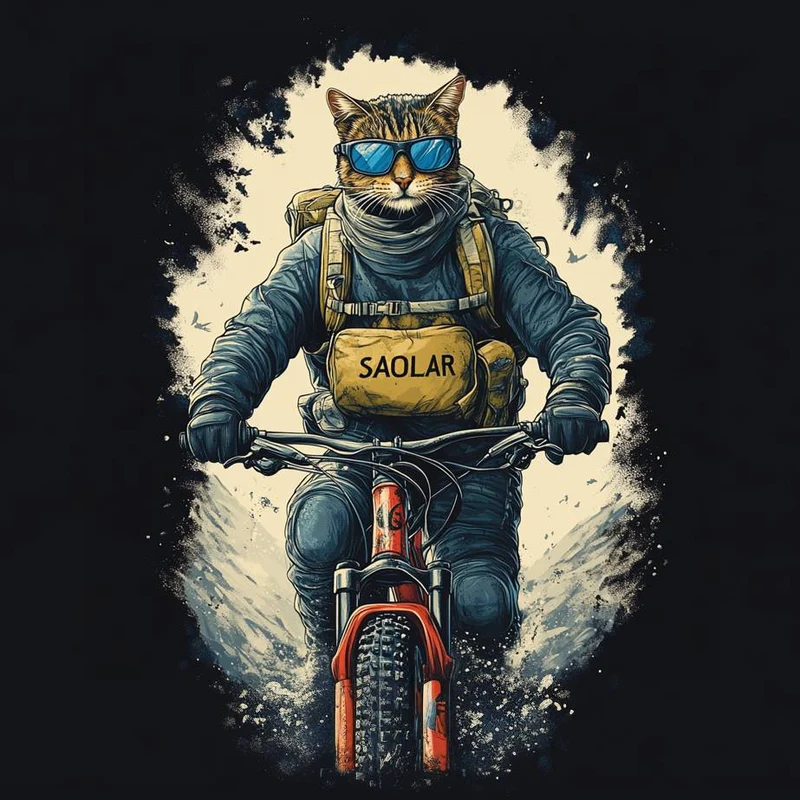 CatCruiser