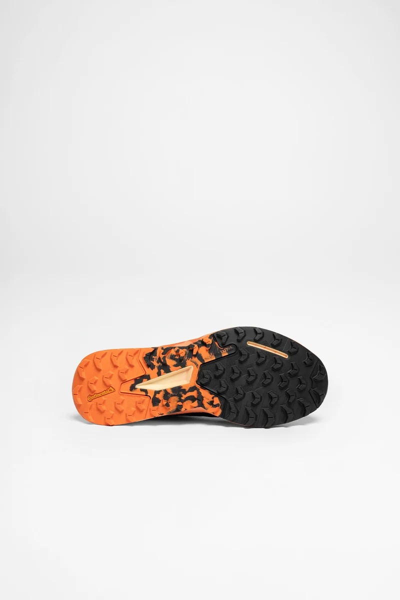 Terrex Agravic Flow 2 GTX Herren (Schwarz/Orange)