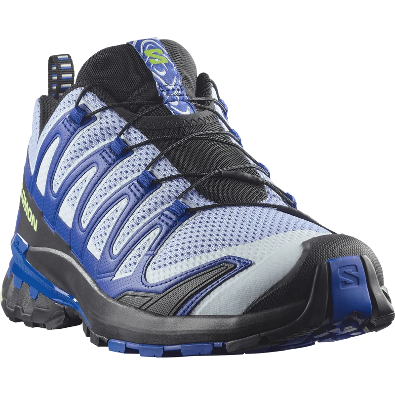 Salomon XA Pro 3D V9 Icon Heren