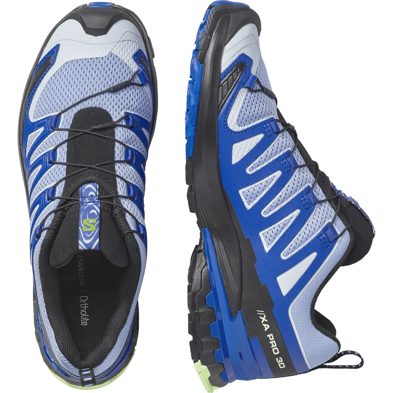 Salomon XA Pro 3D V9 Icon Heren