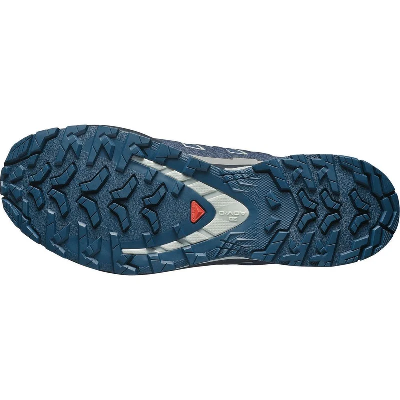 Salomon Xa Pro 3D V9 GTX Herren Trailrunningschuh spellbound/maritime blue/wrought iron