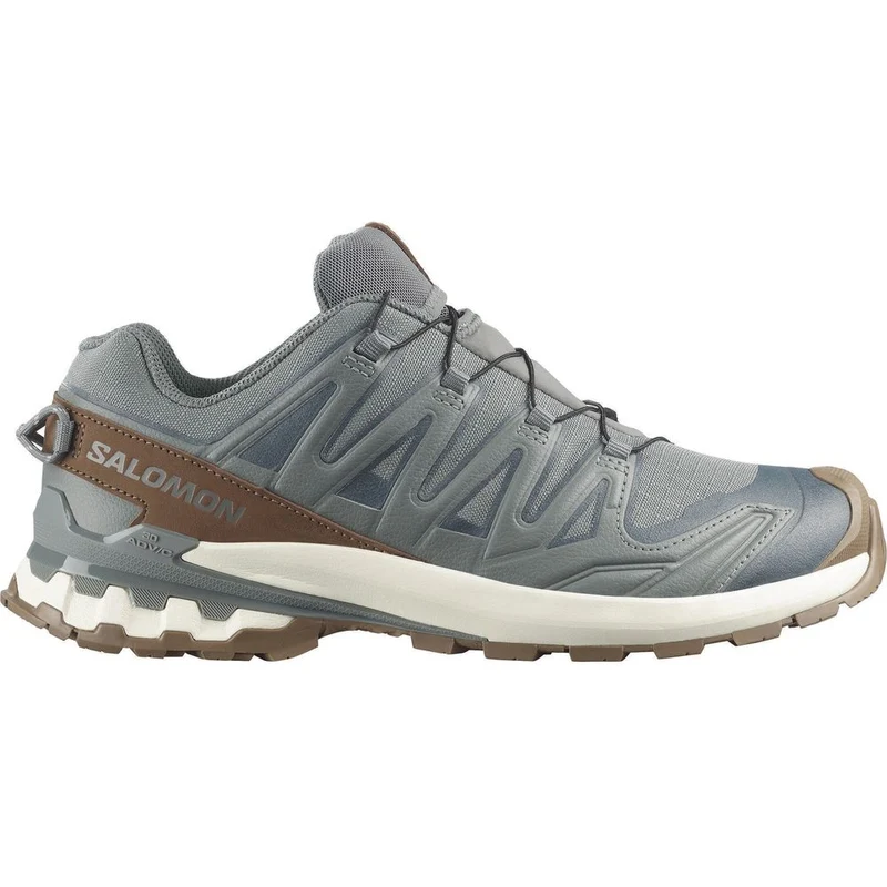 Salomon Shoes Xa Pro 3D V9 GTX Lifelong Herren Trailrunningschuh sedona sage/coyote brown/vanilla ic