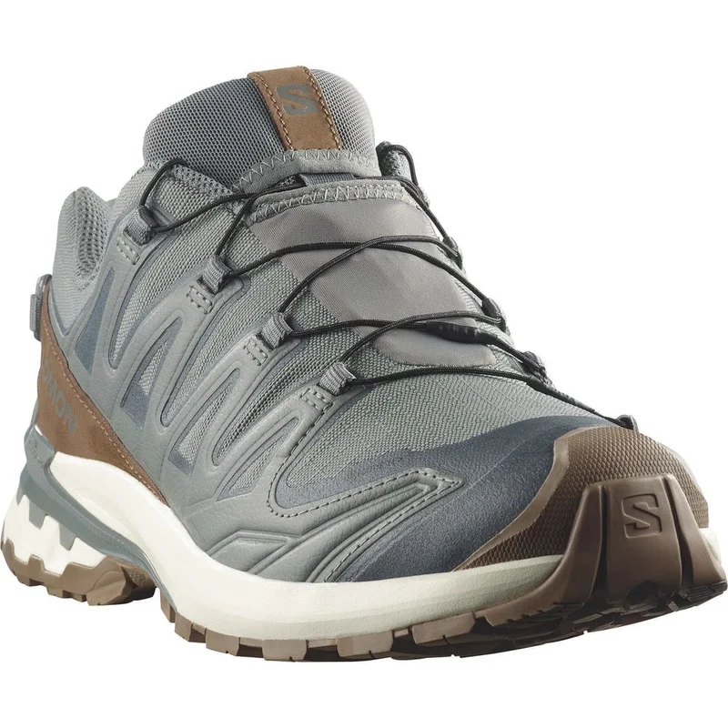 Salomon Shoes Xa Pro 3D V9 GTX Lifelong Herren Trailrunningschuh sedona sage/coyote brown/vanilla ic