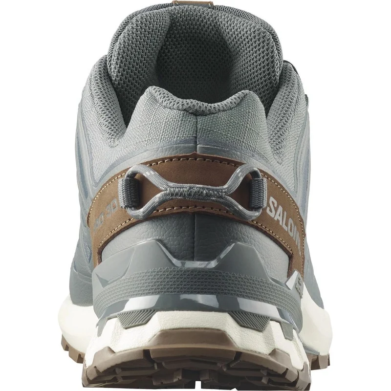 Salomon Shoes Xa Pro 3D V9 GTX Lifelong Herren Trailrunningschuh sedona sage/coyote brown/vanilla ic