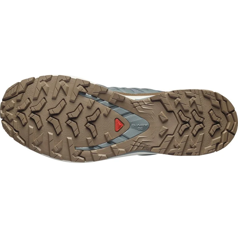 Salomon Shoes Xa Pro 3D V9 GTX Lifelong Herren Trailrunningschuh sedona sage/coyote brown/vanilla ic