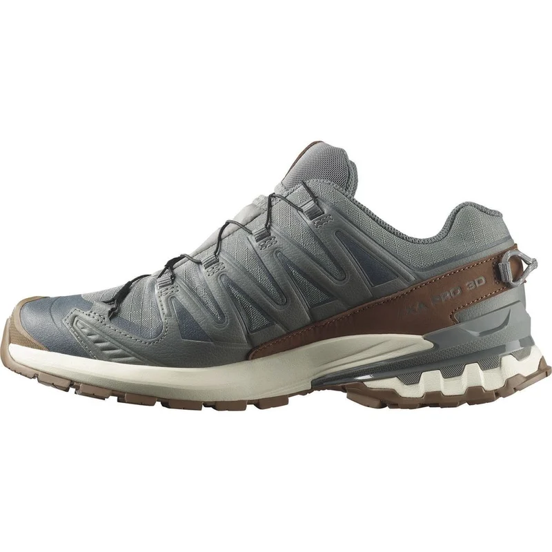 Salomon Shoes Xa Pro 3D V9 GTX Lifelong Herren Trailrunningschuh sedona sage/coyote brown/vanilla ic