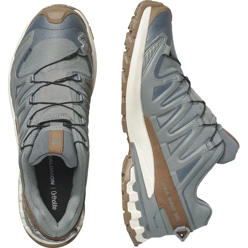 Salomon Shoes Xa Pro 3D V9 GTX Lifelong Herren Trailrunningschuh sedona sage/coyote brown/vanilla ic