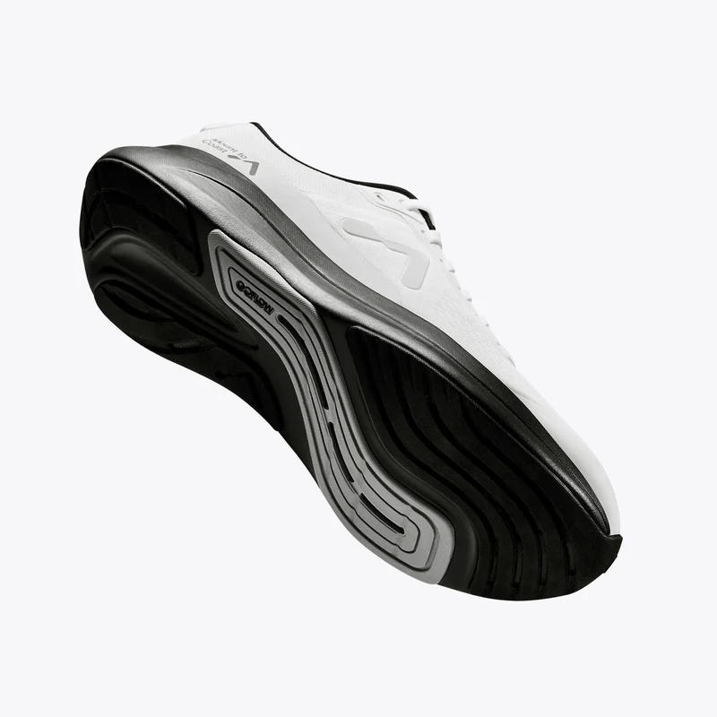 Mount to Coast P1 Heren