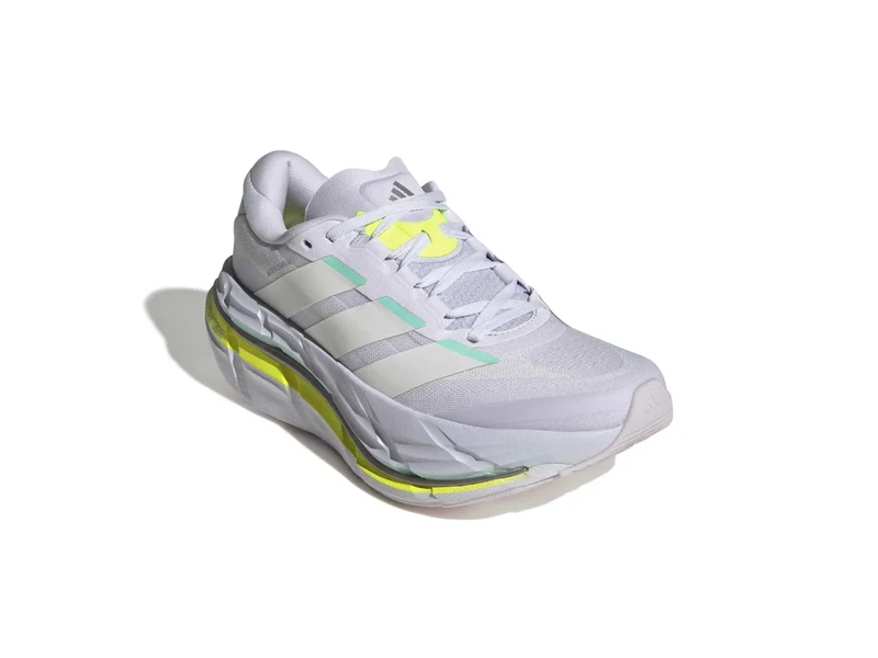 Adistar BYD 2 w