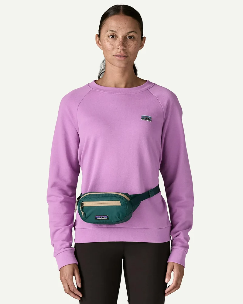 Patagonia Terravia Mini Hip Pack 1L Cascade Green