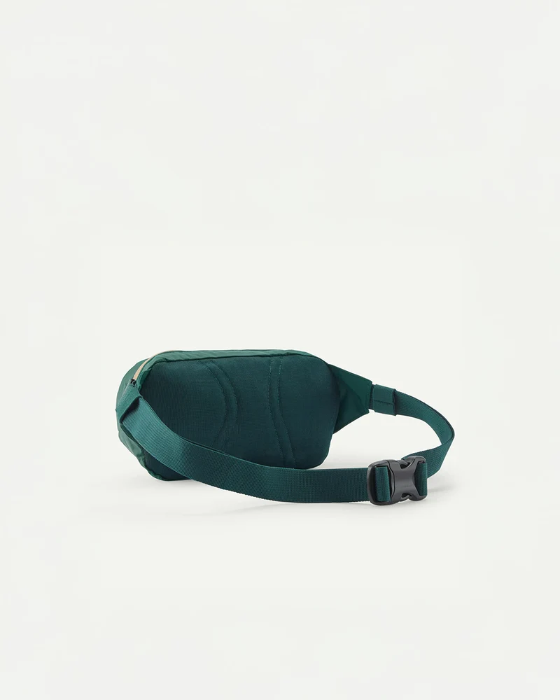 Patagonia Terravia Mini Hip Pack 1L Cascade Green