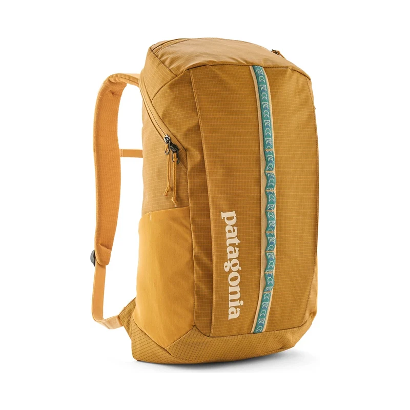 Patagonia Black Hole Pack 25L