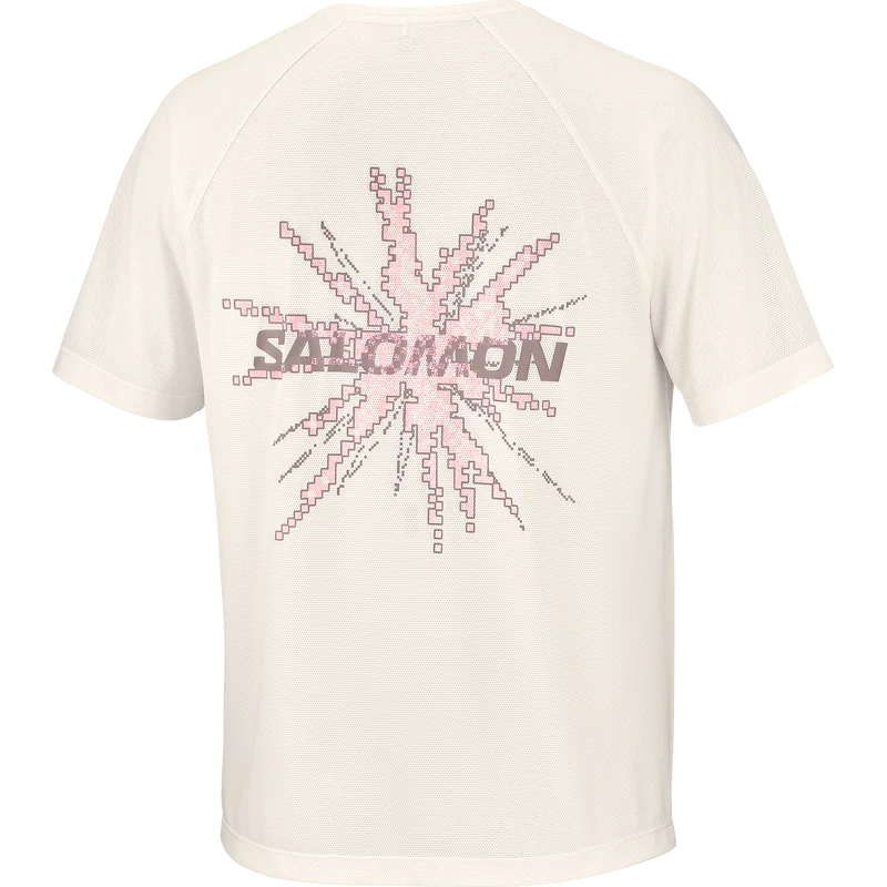 Salomon Shakeout Core Tee GFX Heren