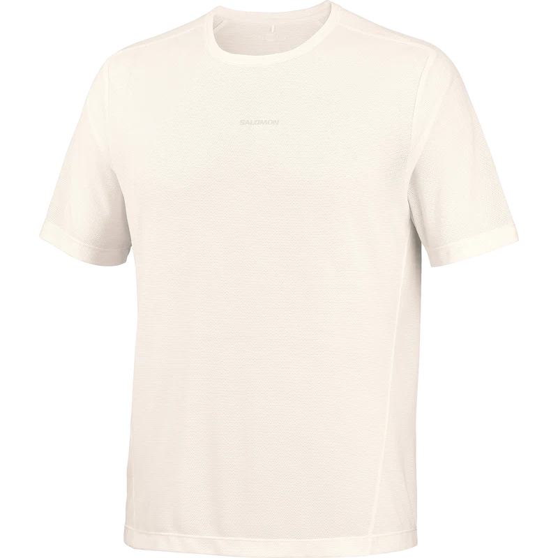 Salomon Shakeout Core Tee GFX Heren