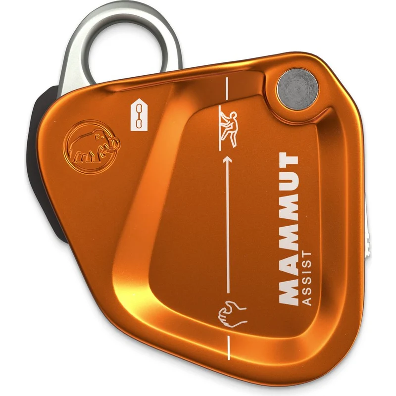 Mammut Mammut Assist Belay Resistor gold