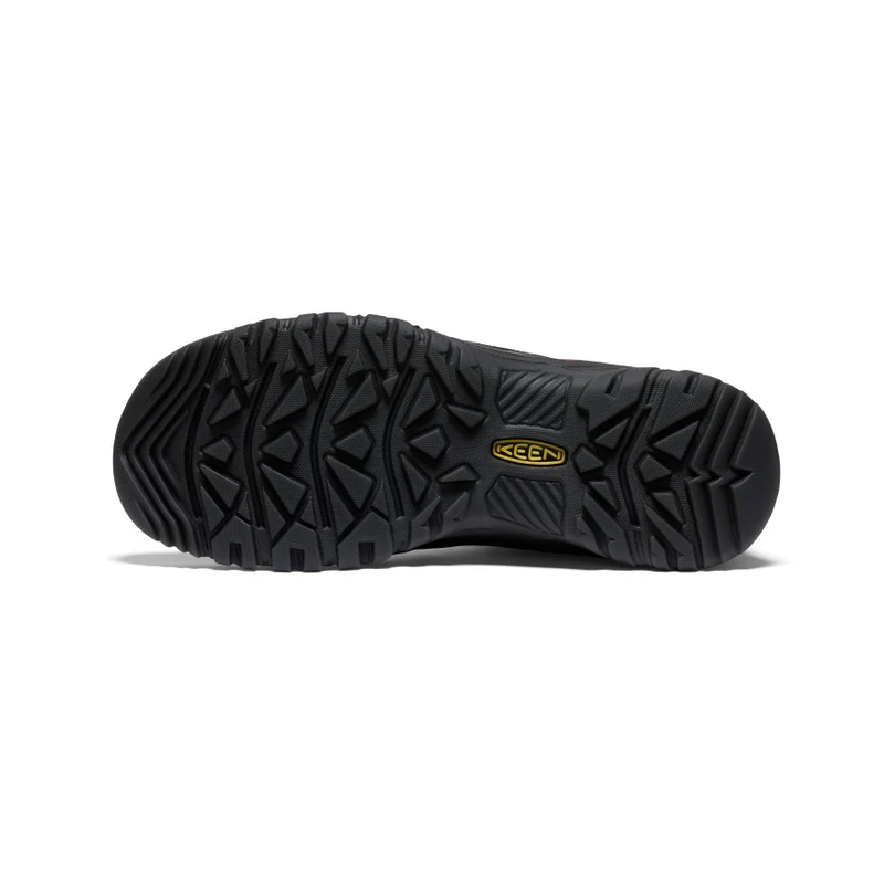 Targhee IV Wide Wasserdichte Wanderstiefel für Herren | Bison/Black