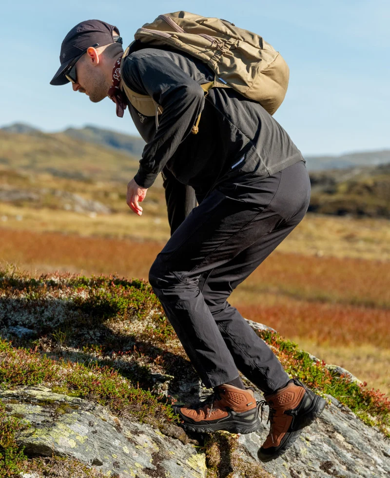 Targhee IV Wide Wasserdichte Wanderstiefel für Herren | Bison/Black