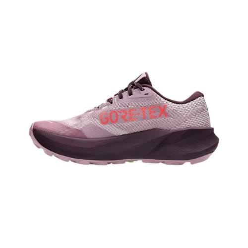 Asics TRABUCO 14 GTX Damen