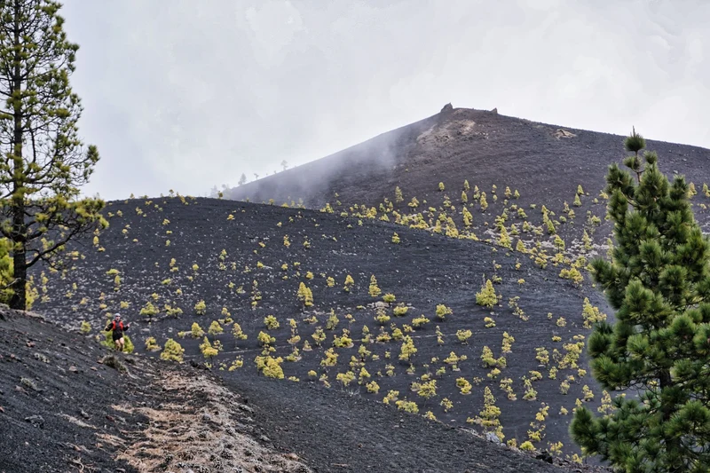 Trainingsplan • TENERIFFA HOLIDAY TRAILS Trailrunning Camp • Level 3 • 10 Wochen