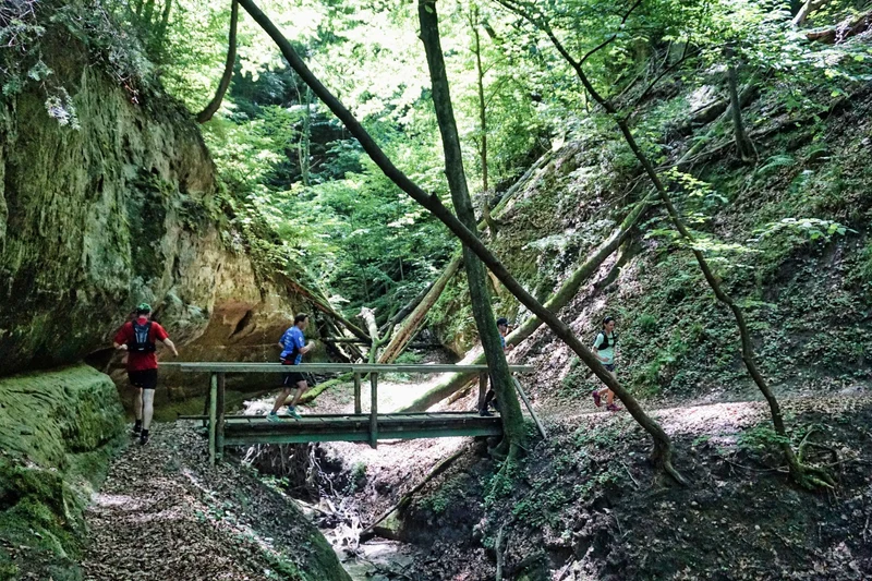 Trailrunning Trainingsplan • BASE Grundlagenausdauer • Level 4 • 12 Wochen