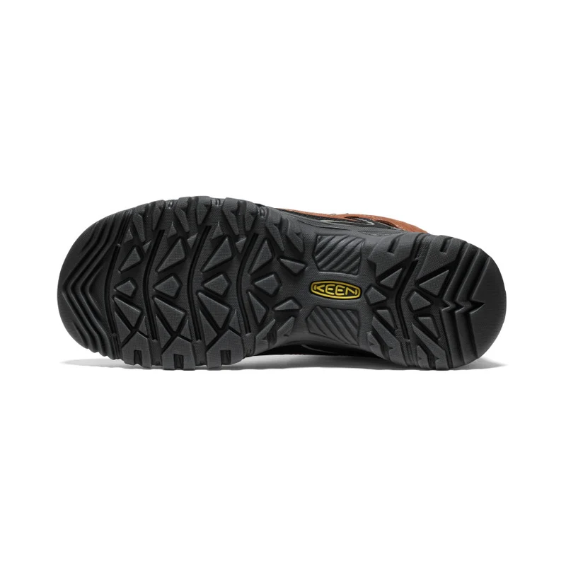 Targhee IV Wasserdichte Wanderstiefel für Herren | Bison/Black