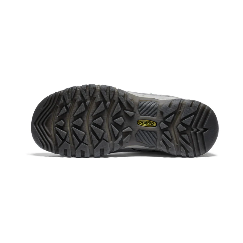 Targhee IV Wasserdichte Wanderstiefel für Damen | Alloy/Granite Green