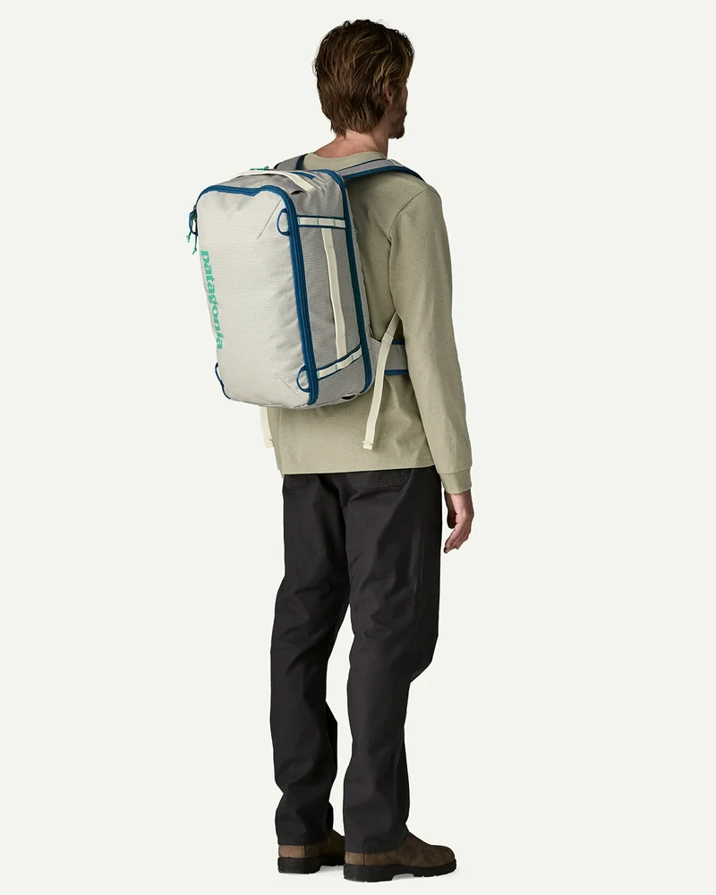 Patagonia Black Hole Mini MLC 30L Birch White