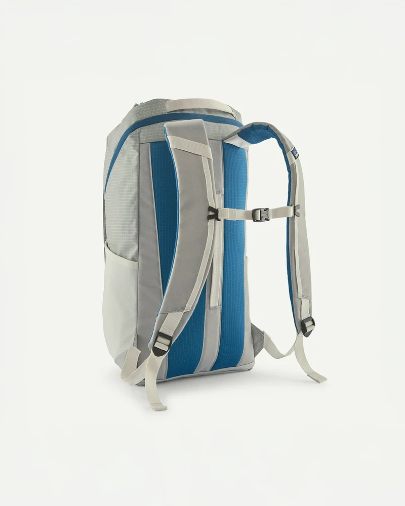 Patagonia Black Hole Pack 25L Birch White