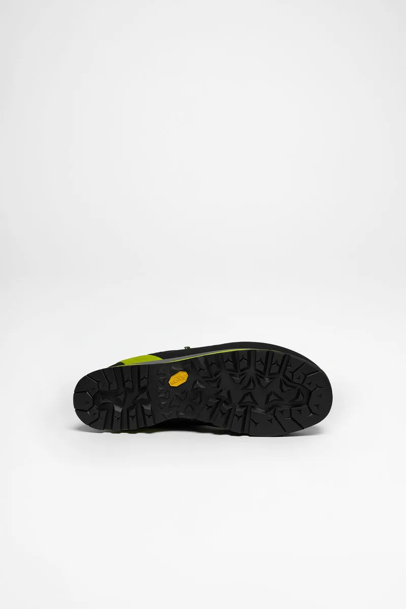 Alpine Pro GTX Herren (Schwarz)