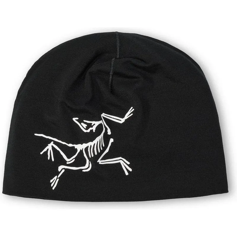 Arcteryx Satoro Merino Herren Mütze black / arctic silk
