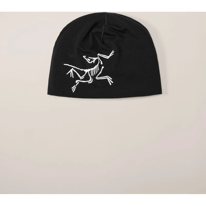 Arcteryx Satoro Merino Herren Mütze black / arctic silk
