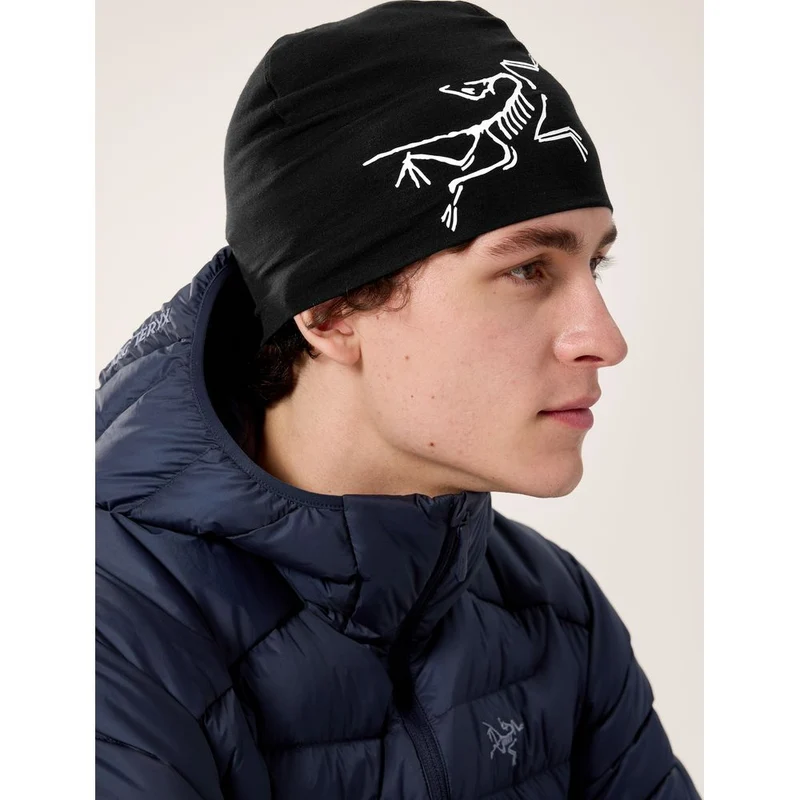 Arcteryx Satoro Merino Herren Mütze black / arctic silk