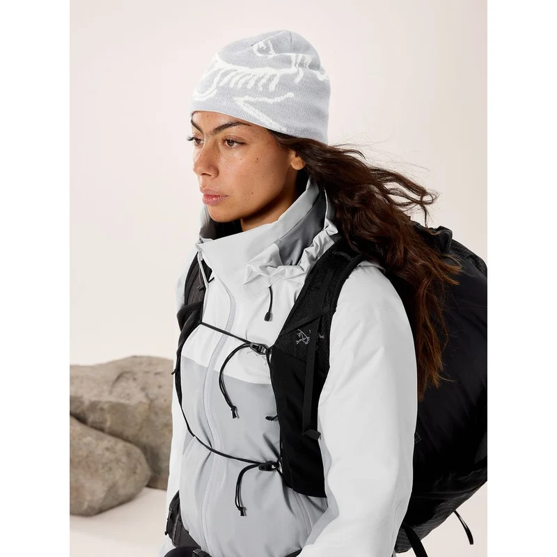 Arcteryx Bird Head Toque Mütze solitude / arctic silk