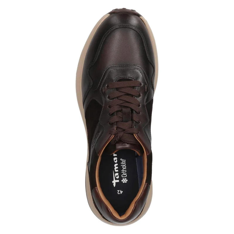 Low Sneaker Braun