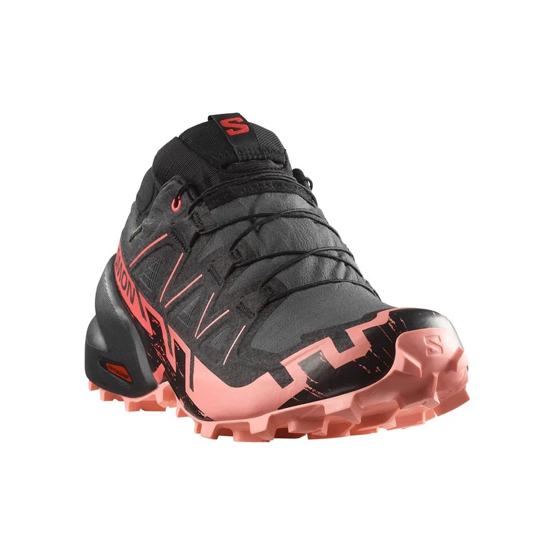 Salomon Speedcross 6 GTX Women nine iron black flamingo pink